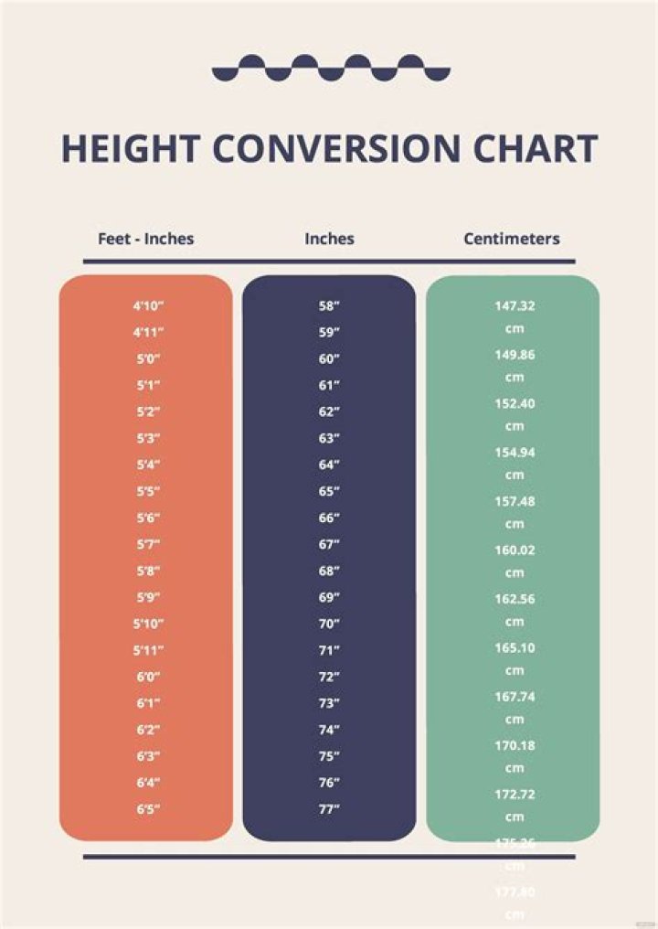 164 cm to ft: A Comprehensive Guide to Height Conversion and Understanding